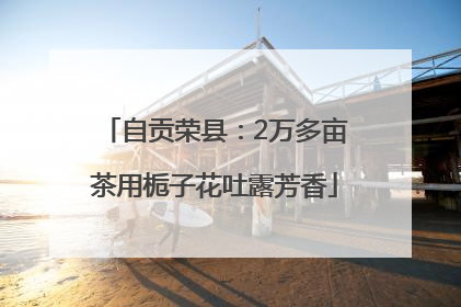 自贡荣县：2万多亩茶用栀子花吐露芳香