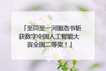至简至一河图洛书斩获数字中国人工智能大赛全国二等奖！
