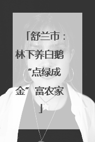 舒兰市：林下养白鹅 “点绿成金”富农家