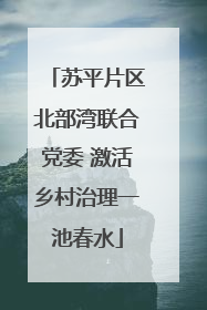苏平片区北部湾联合党委 激活乡村治理一池春水