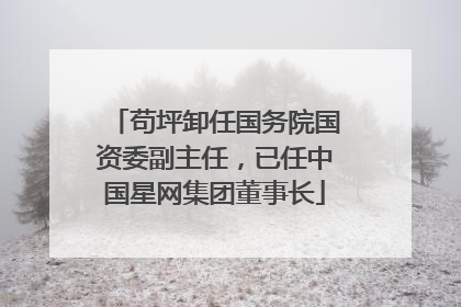 苟坪卸任国务院国资委副主任，已任中国星网集团董事长