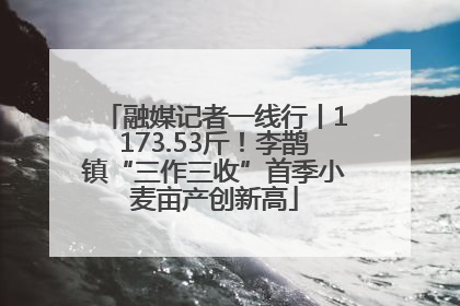 融媒记者一线行丨1173.53斤！李鹊镇“三作三收”首季小麦亩产创新高