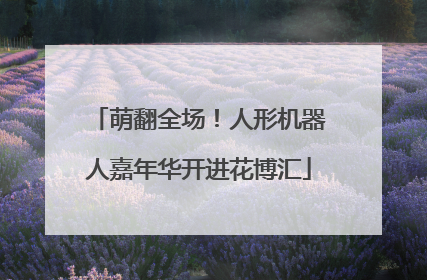 萌翻全场！人形机器人嘉年华开进花博汇