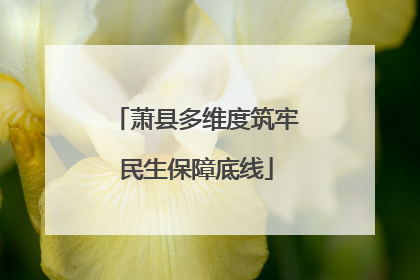 萧县多维度筑牢民生保障底线