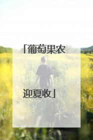 葡萄果农迎夏收