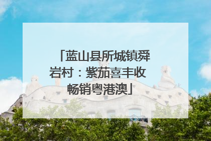 蓝山县所城镇舜岩村：紫茄喜丰收 畅销粤港澳