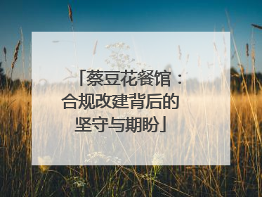 蔡豆花餐馆：合规改建背后的坚守与期盼