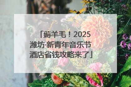 薅羊毛！2025潍坊·新青年音乐节酒店省钱攻略来了