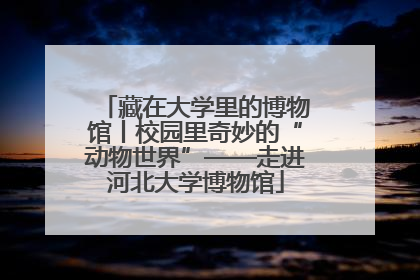 藏在大学里的博物馆丨校园里奇妙的“动物世界”——走进河北大学博物馆