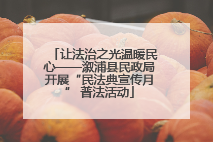 让法治之光温暖民心——溆浦县民政局开展“民法典宣传月” 普法活动