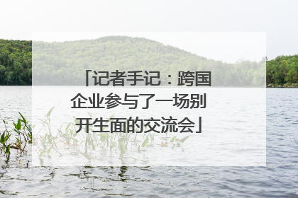 记者手记：跨国企业参与了一场别开生面的交流会