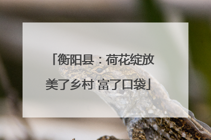 衡阳县：荷花绽放 美了乡村 富了口袋