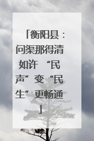 衡阳县：问渠那得清如许 “民声”变“民生”更畅通
