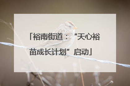 裕南街道：“天心裕苗成长计划”启动
