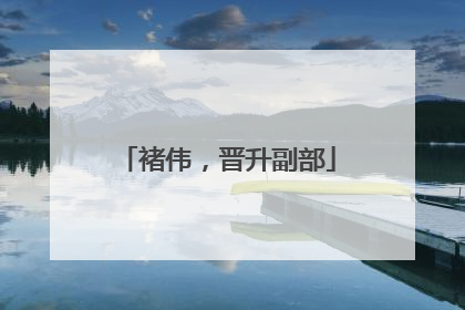 褚伟，晋升副部