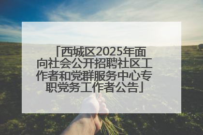 西城区2025年面向社会公开招聘社区工作者和党群服务中心专职党务工作者公告