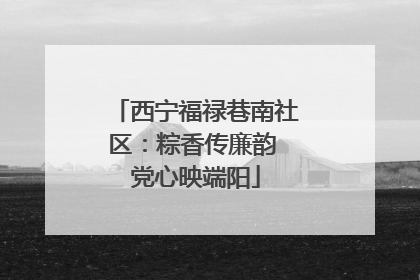 西宁福禄巷南社区：粽香传廉韵 党心映端阳