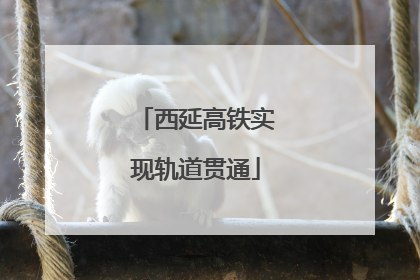 西延高铁实现轨道贯通