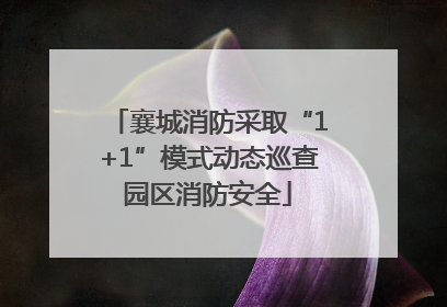 襄城消防采取“1+1”模式动态巡查园区消防安全