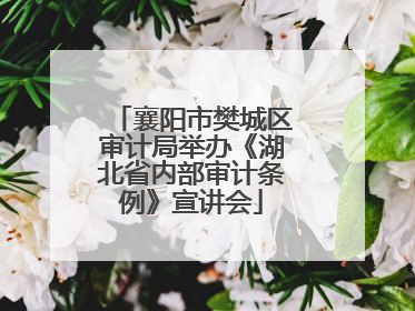 襄阳市樊城区审计局举办《湖北省内部审计条例》宣讲会