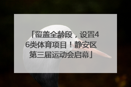 覆盖全龄段，设置46类体育项目！静安区第三届运动会启幕