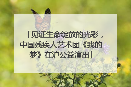 见证生命绽放的光彩，中国残疾人艺术团《我的梦》在沪公益演出