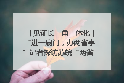见证长三角一体化｜“进一扇门，办两省事”记者探访苏皖“两省一街”警务室
