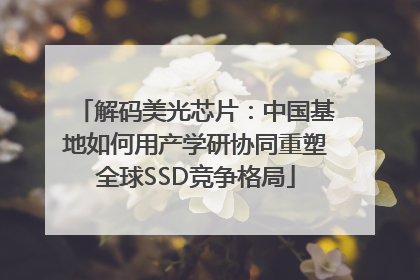解码美光芯片：中国基地如何用产学研协同重塑全球SSD竞争格局