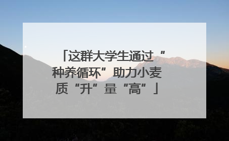 这群大学生通过“种养循环”助力小麦质“升”量“高”
