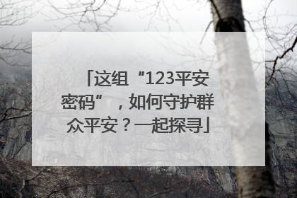 这组“123平安密码”，如何守护群众平安？一起探寻