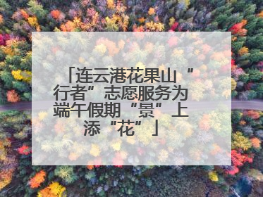 连云港花果山“行者”志愿服务为端午假期“景”上添“花”