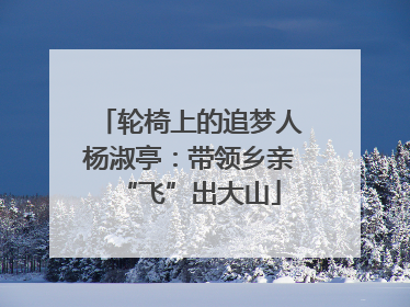 轮椅上的追梦人杨淑亭：带领乡亲“飞”出大山