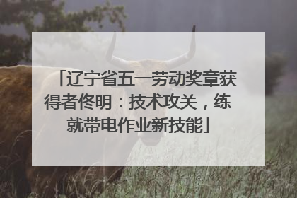 辽宁省五一劳动奖章获得者佟明：技术攻关，练就带电作业新技能
