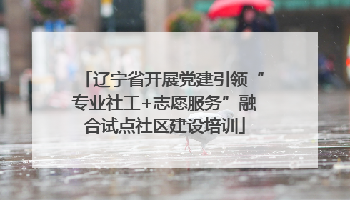 辽宁省开展党建引领“专业社工+志愿服务”融合试点社区建设培训