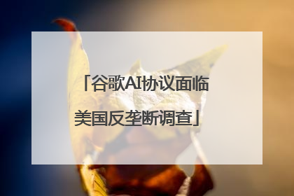 谷歌AI协议面临美国反垄断调查