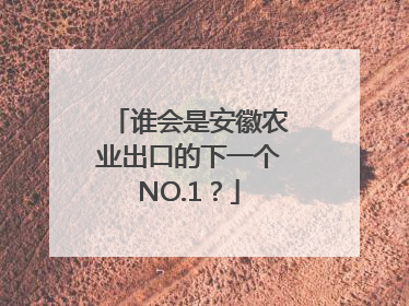 谁会是安徽农业出口的下一个NO.1？