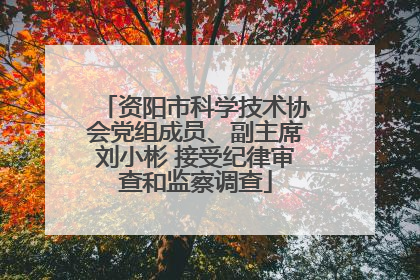 资阳市科学技术协会党组成员、副主席刘小彬 接受纪律审查和监察调查