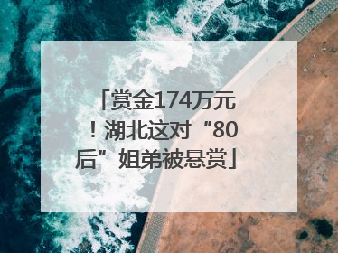 赏金174万元！湖北这对“80后”姐弟被悬赏