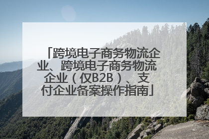 跨境电子商务物流企业、跨境电子商务物流企业（仅B2B）、支付企业备案操作指南