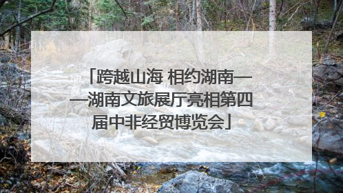 跨越山海 相约湖南——湖南文旅展厅亮相第四届中非经贸博览会