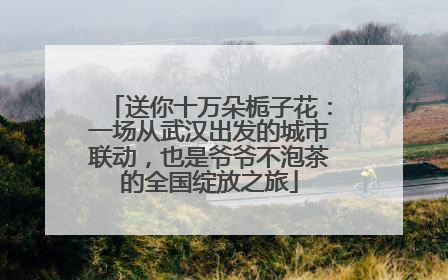 送你十万朵栀子花：一场从武汉出发的城市联动，也是爷爷不泡茶的全国绽放之旅