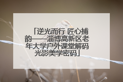 逆光而行 匠心捕韵——淄博高新区老年大学户外课堂解码光影美学密码