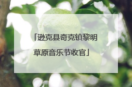逊克县奇克镇黎明草原音乐节收官
