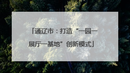 通辽市：打造“一园一展厅一基地”创新模式