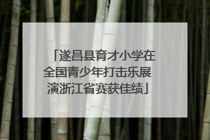 遂昌县育才小学在全国青少年打击乐展演浙江省赛获佳绩