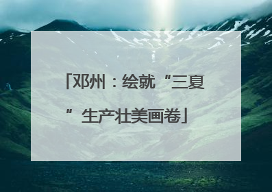 邓州：绘就“三夏”生产壮美画卷