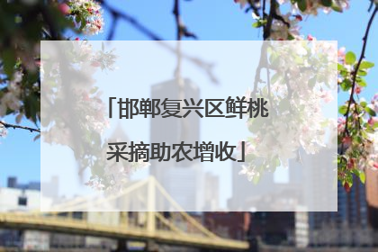 邯郸复兴区鲜桃采摘助农增收
