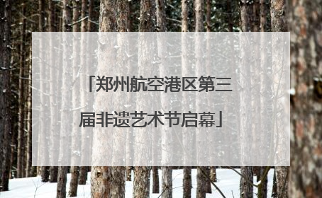 郑州航空港区第三届非遗艺术节启幕