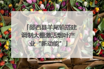 郧西县羊尾镇搭建调制大棚激活烟叶产业“新动能”
