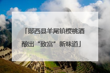 郧西县羊尾镇樱桃酒酿出“致富”新味道